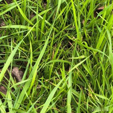 出来透透气，找寻春天的气息！ 