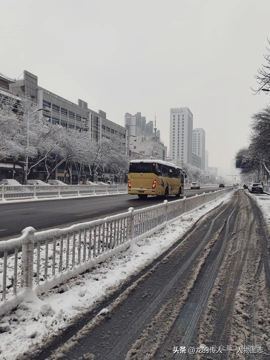 天南地北大拜年