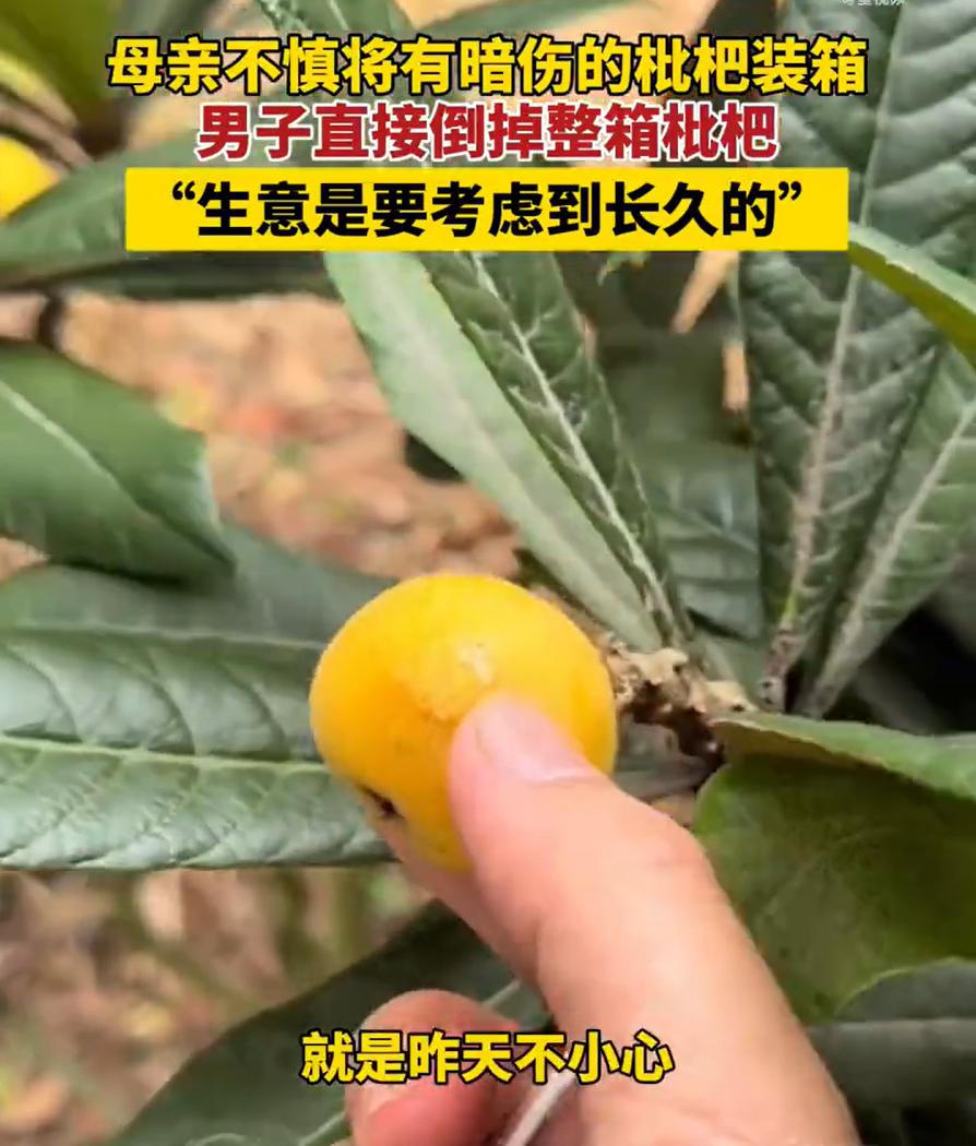 做生意就应该像这位先生一样。做生意是要考虑长久的。
刷到这个视频，我心里头咯噔一