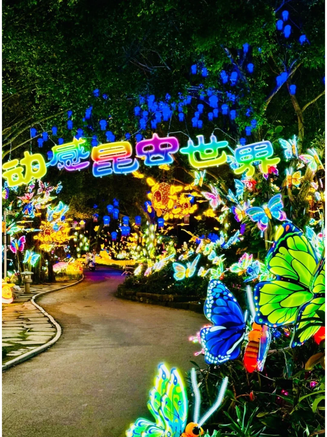 南宁新晋夜景打卡地！解锁青秀山奇幻秘境！