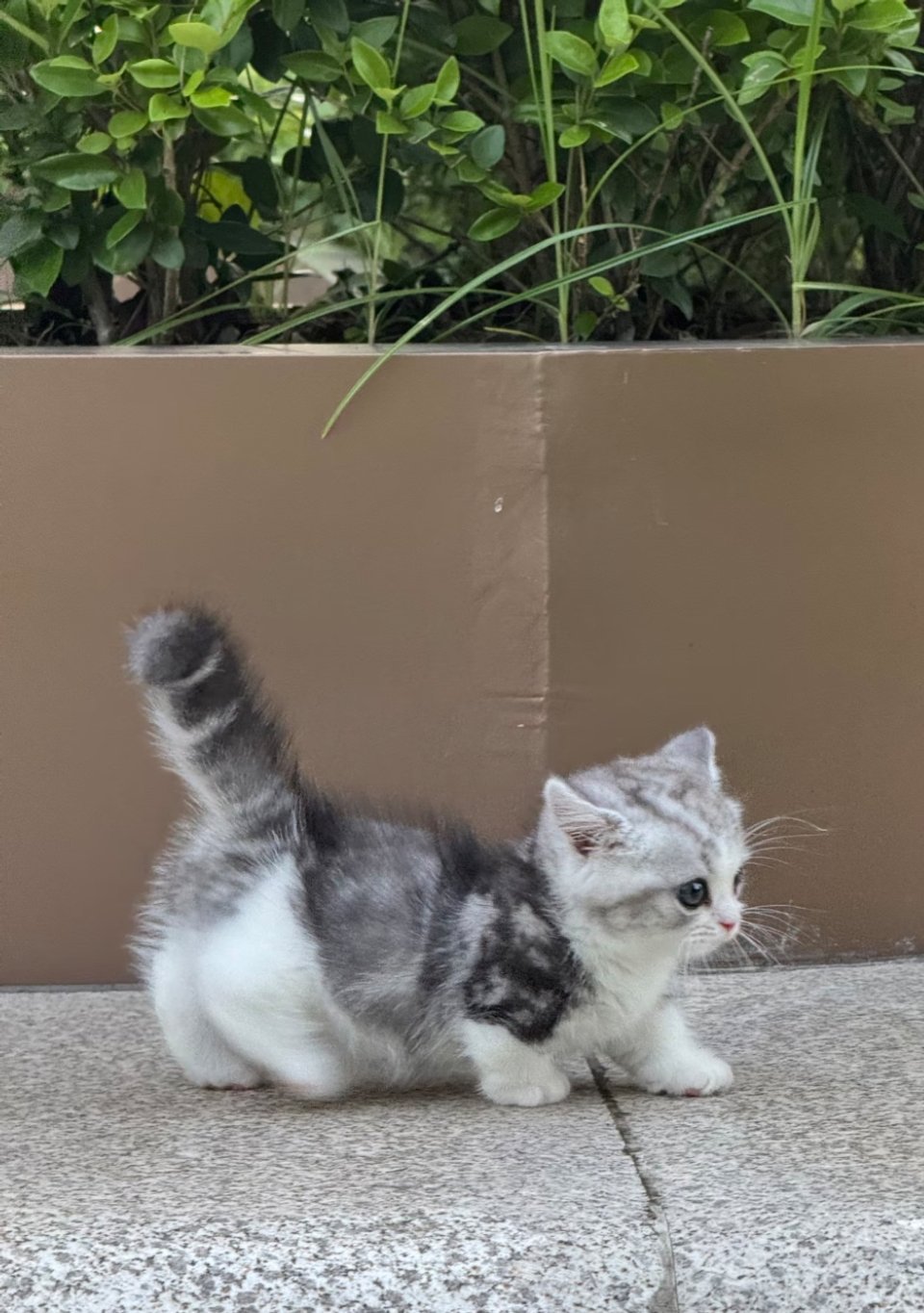 好好养宠的一年宠物年度结算时刻｜那些治愈时光，全是毛孩子给的翻完一整年的毛孩相册