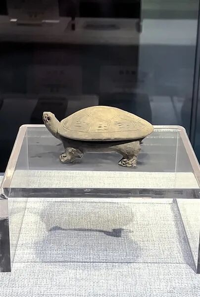 考古新知唐代虢州澄泥龟砚 都说唐代人审美超前，你看这方龟形澄泥砚——既是文房雅器