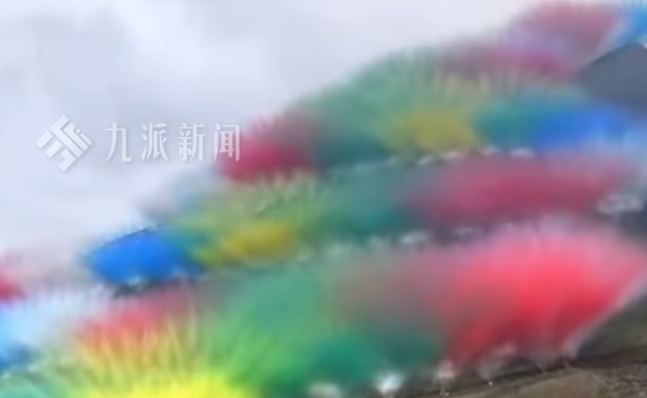 蔡国强致歉他们之所以道歉，不是因为知道自己错了，而是因为知道消费者要开始抵制他们