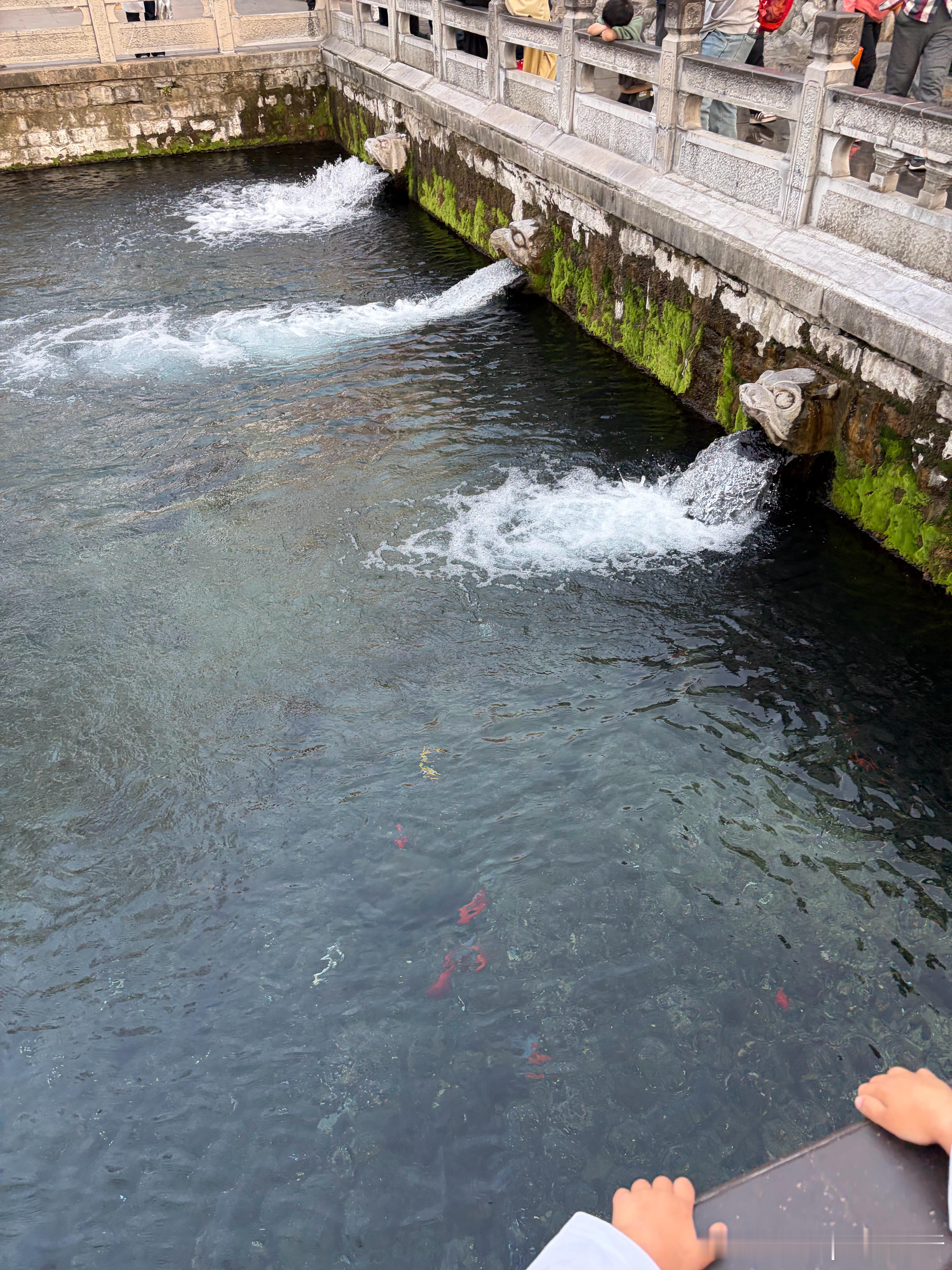 我能说我看睡着了么？搞笑类不搞笑唱歌类不走心现在一家人坐电视前面刷手机 