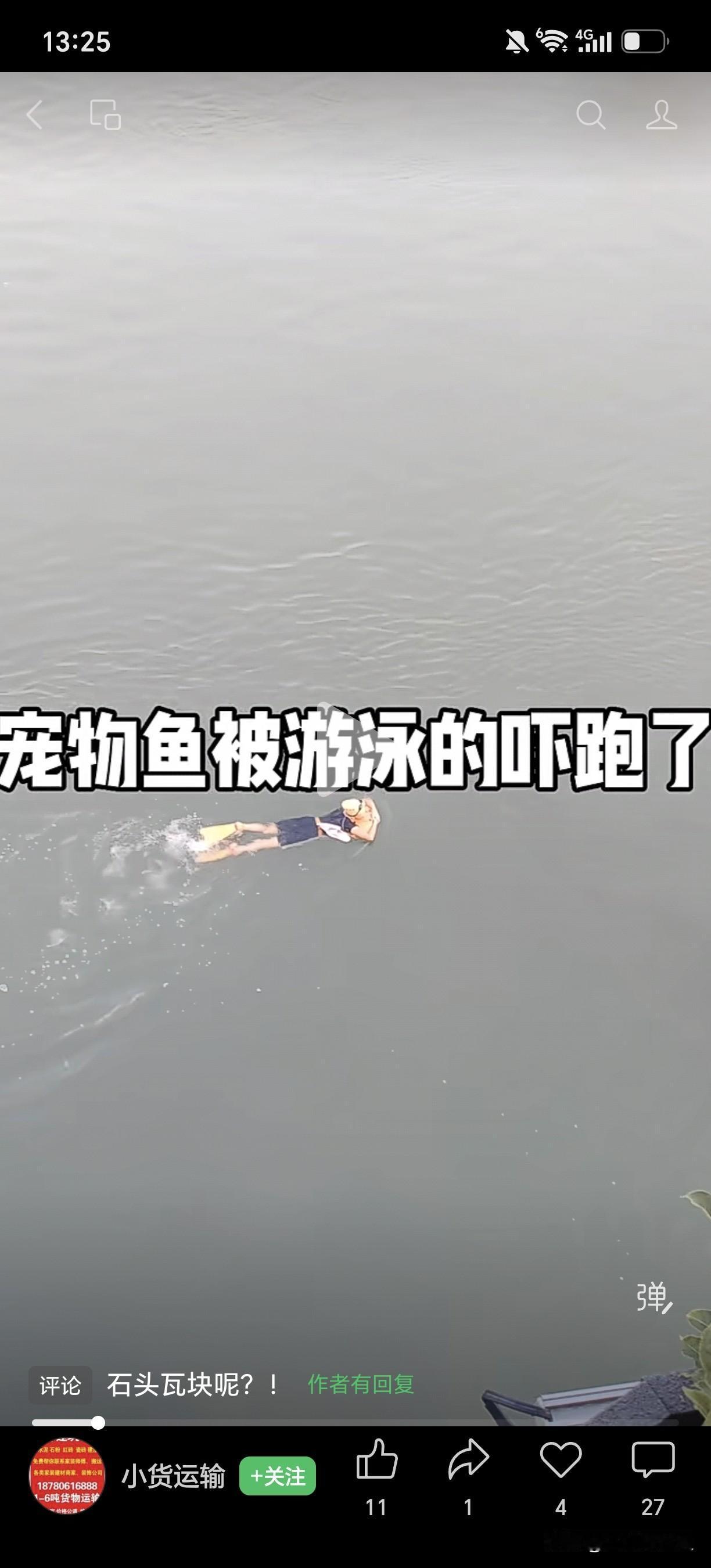 宠物鱼被游泳的吓跑了，岸上的游客向游泳者提醒，不要吓跑了鱼，但是他们还是不听-宜