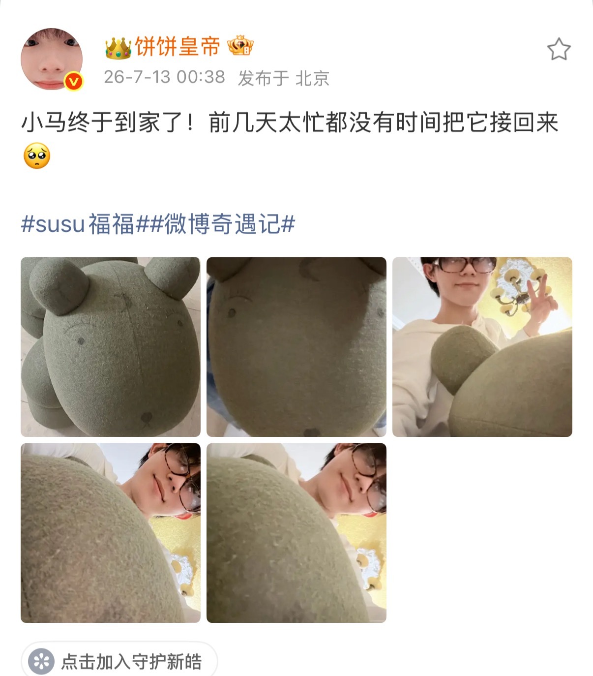 外务是整个团参加的，东西是指名道姓给苏新皓寄的，个资变团资我说累了