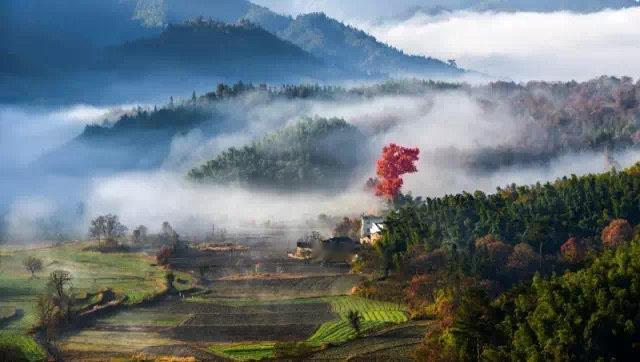在徽州，总有一种风景，温暖了心，走进了梦。 ​ ​​​