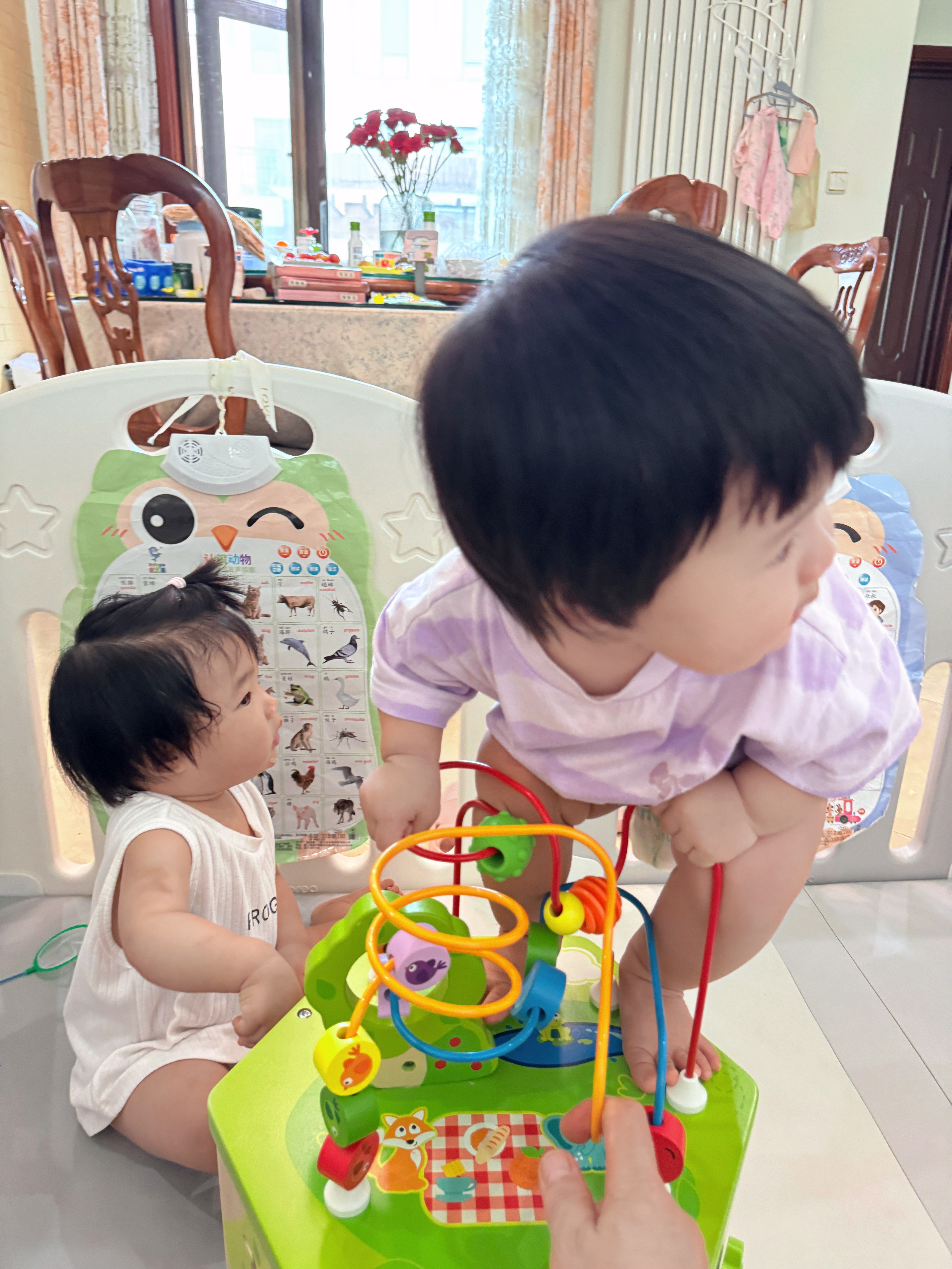 小🥣这个小能人是要上天啊😦 