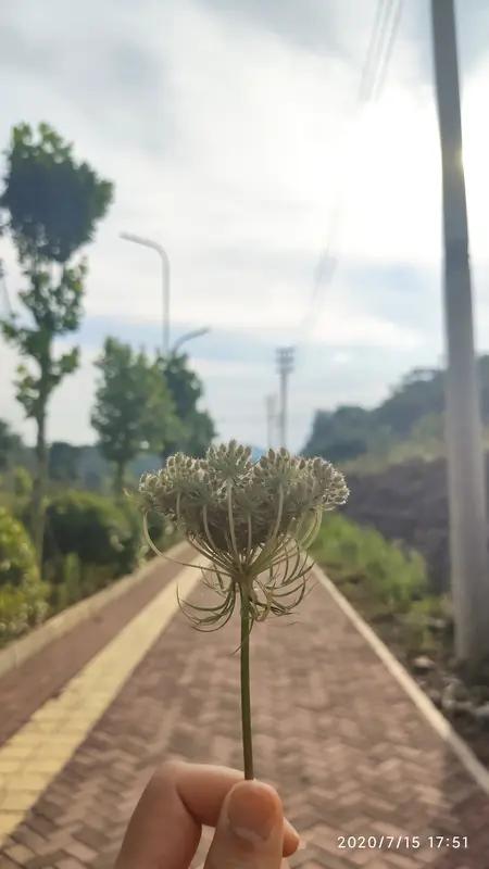 每日生活，其实是一场自我修行。总有人年少得志，有人厚积薄发，每个人都有自己的节奏