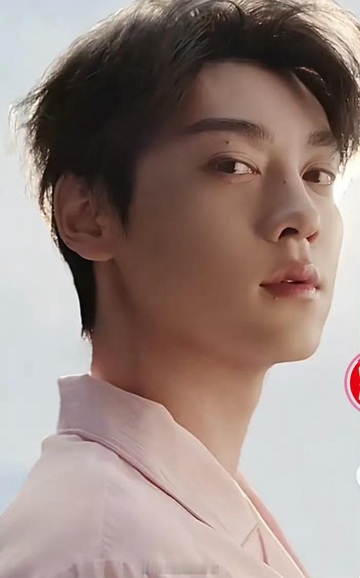 6.1是不是可以当李校草的代餐？