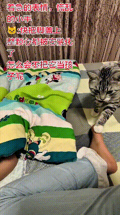 乖乖嘞，这猫咪简直成精啦！慢慢走到小宝宝跟前，轻轻扒拉娃嘞小脚，又摸摸后背。
主
