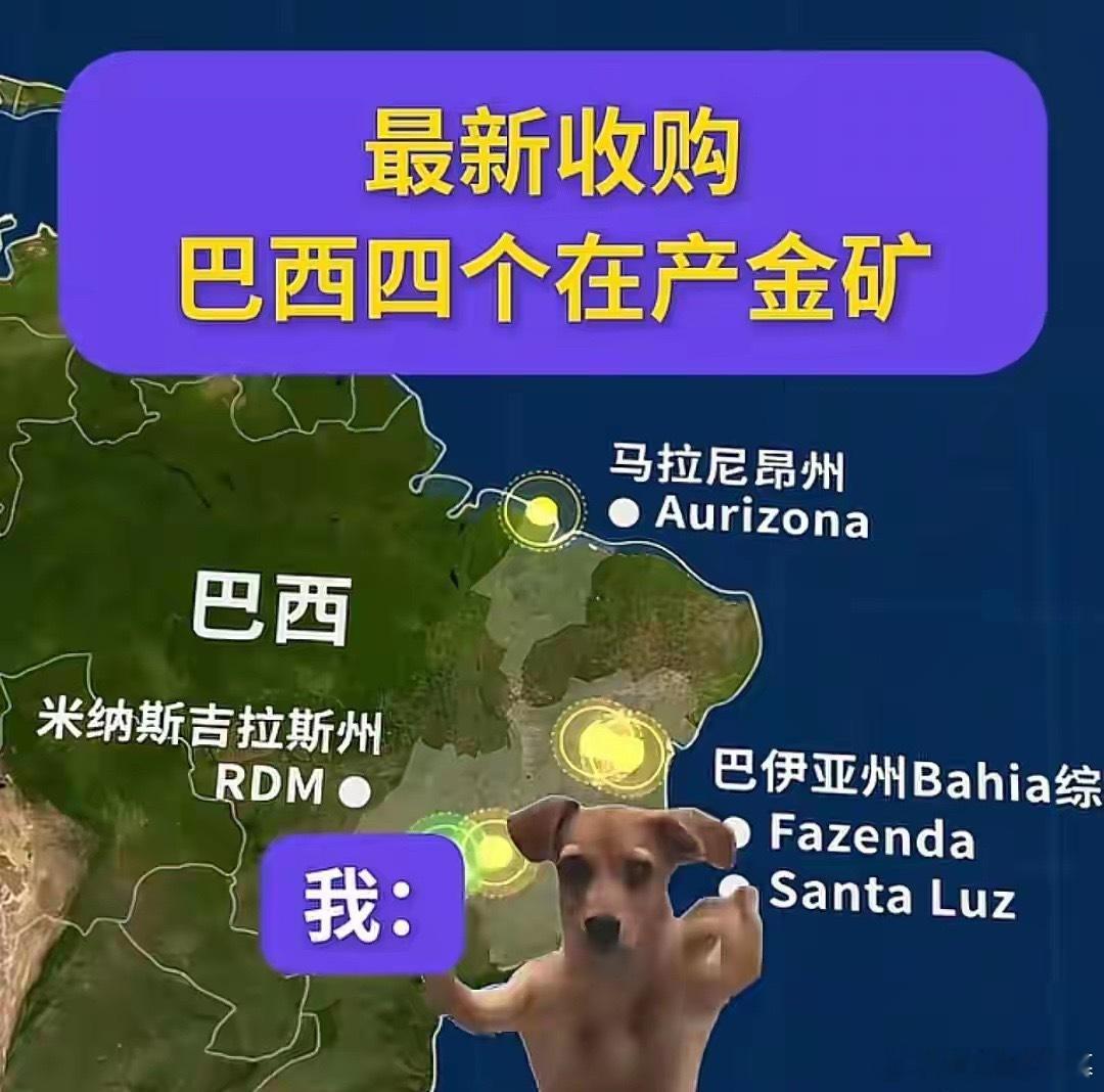 看到洛阳钼业的宣传了，原来今天涨停是这个原因吗