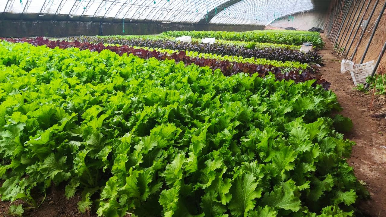 晒图笔记大赛又美又好吃～分享你的随手拍