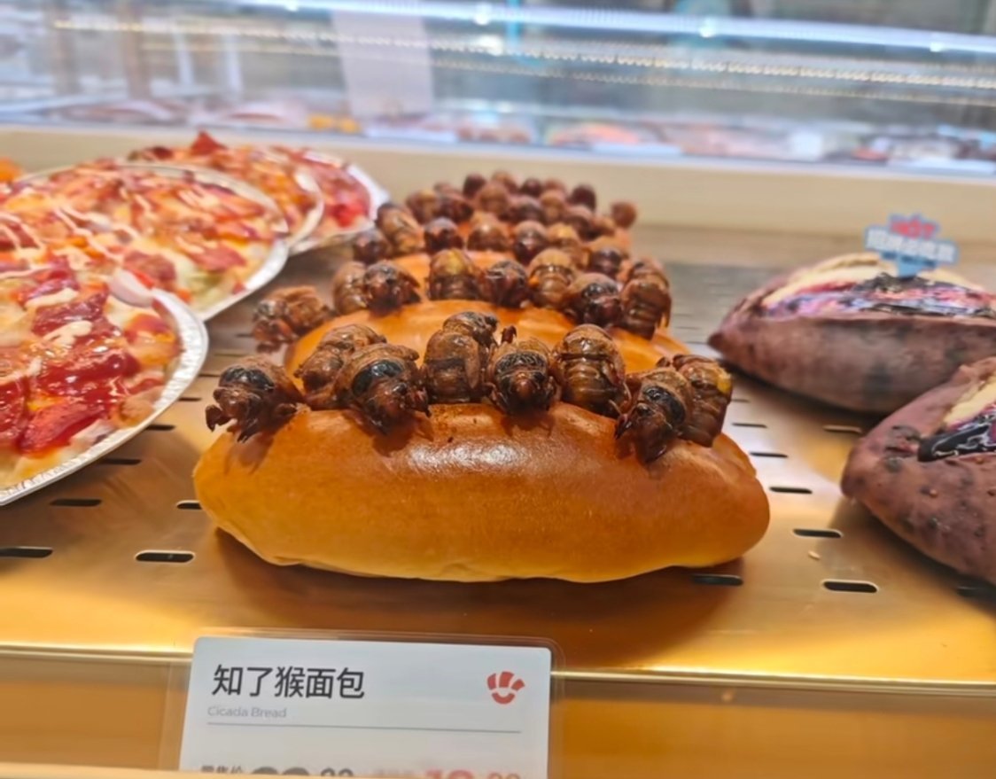 可怕，知了猴只有山东在吃吧
