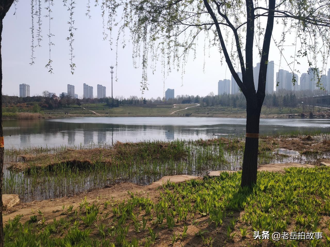 昨天在郑州市西流湖公园里遇到一件十分有意思的事情，一位音乐爱好者独自在湖边演奏萨