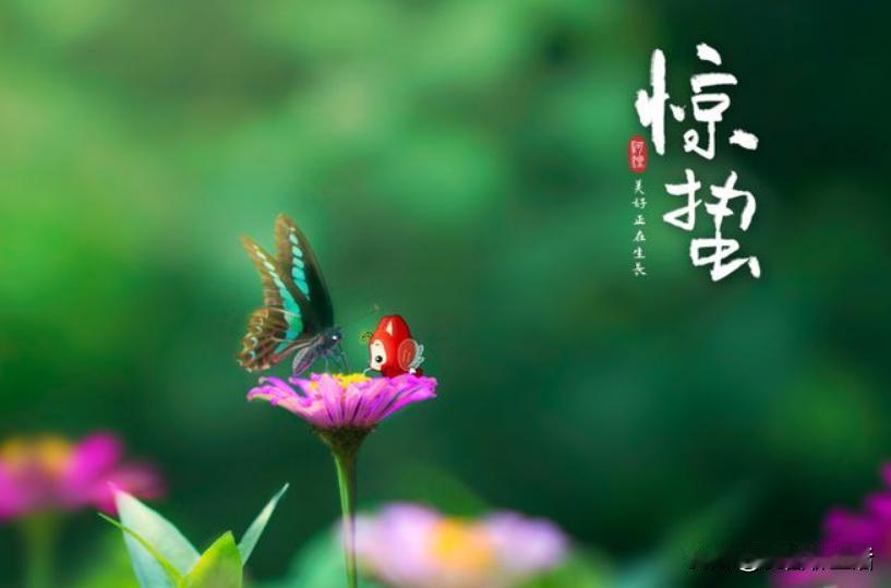 #今日惊蛰#今天是惊蛰节气了，惊蛰是二十四节气中的第3个节气，标志着仲春时节的开