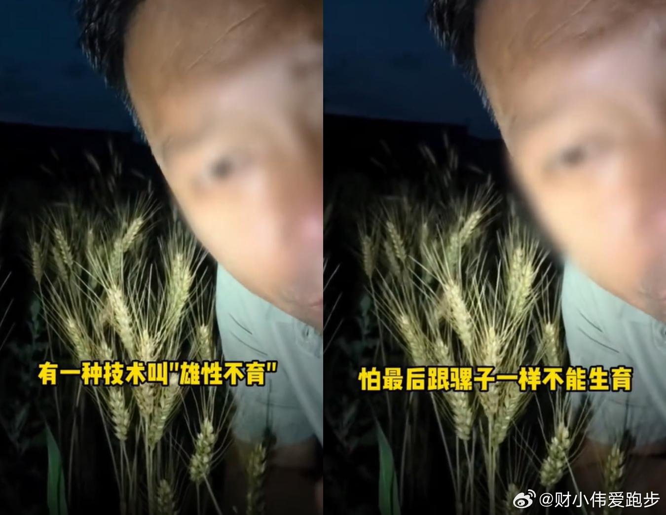 中国食品报举报200万粉农业网红百万农业网红编造谣言抹黑杂交农业牟利，被官媒举报