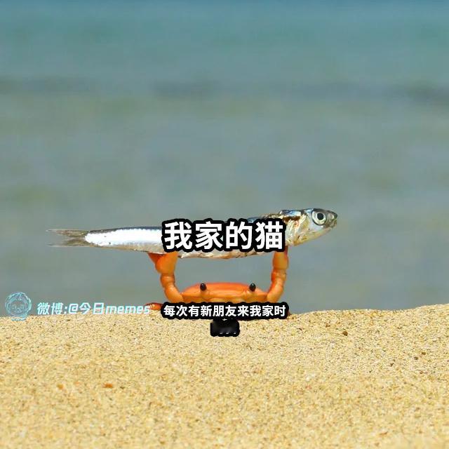 看（9gag）今日meme 今日memes