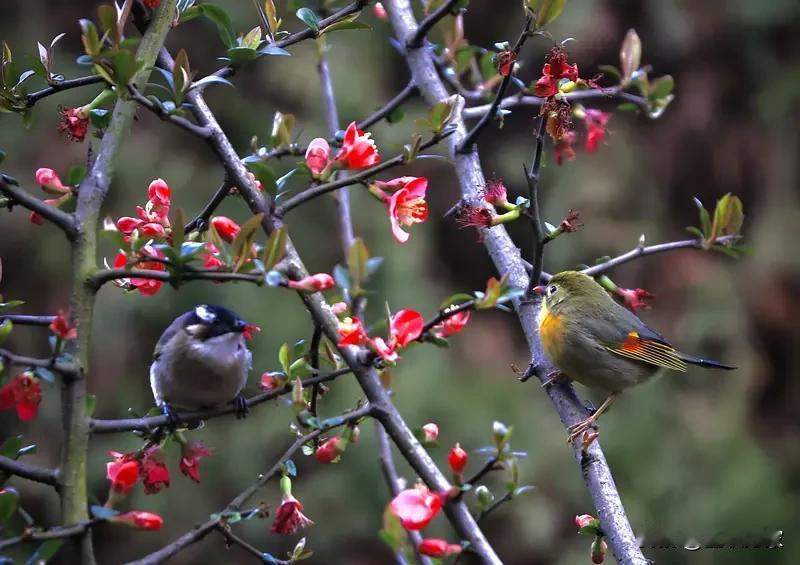 上联“冬去山明水秀”火出圈啦！短短两小时评论就上百条，连小学生都来对“童归嬉笑打