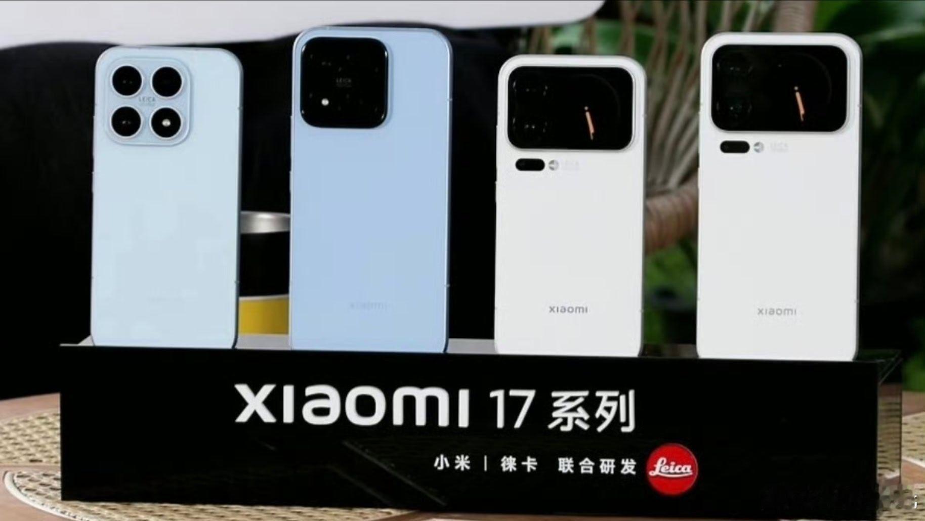一个系列各长各样 