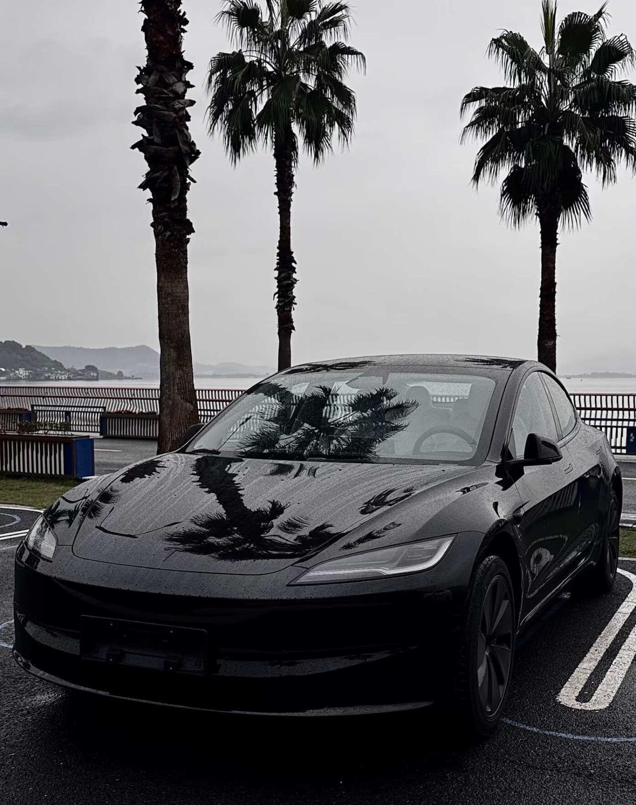 特斯拉买？还是买个der？
网上真是人均BBA的吗？坦白局，现实中30岁上下，你