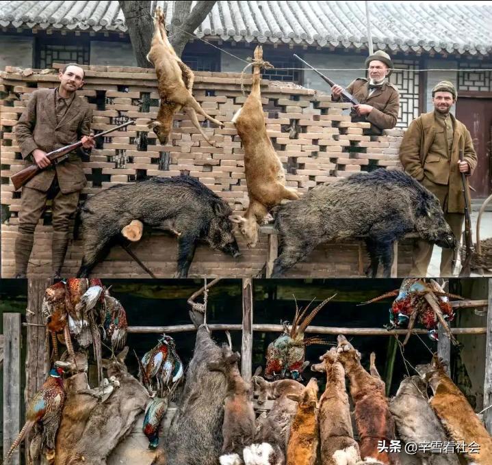 这是上世纪20年代有几个外国人在中国山东境内狩猎时拍下的一张老照片。
当时山东省