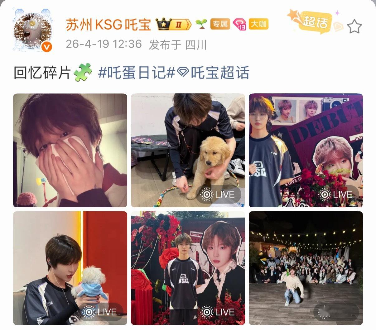 吒宝  这个小吒看上去很喜欢小狗哇2026pel春季赛2025pel