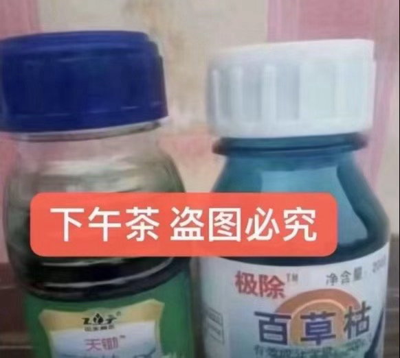 分享图片 