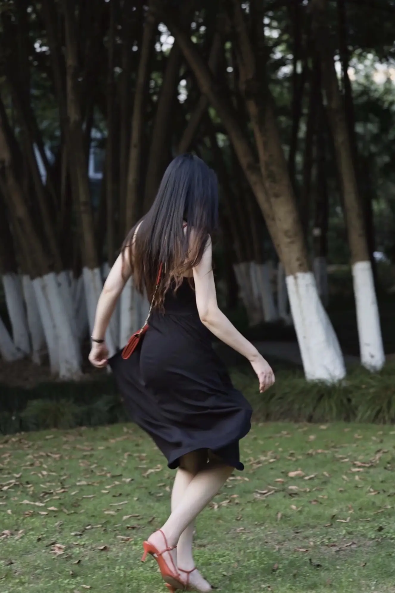 浪漫和悲观并不冲突，我时常消极又觉得生活美好。