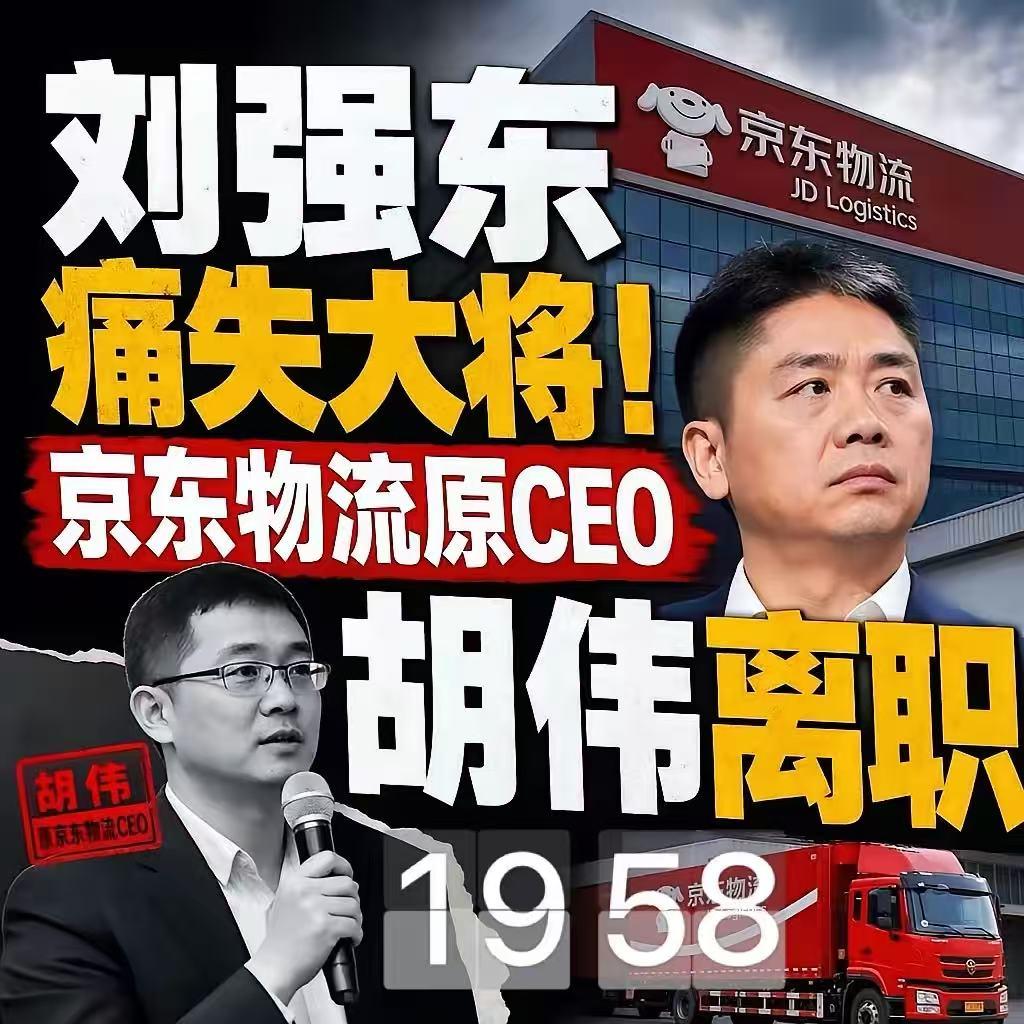 刘强东痛失一名大将！
看了资料才知道，原来这位胡伟这么牛的！
在京东年薪2690