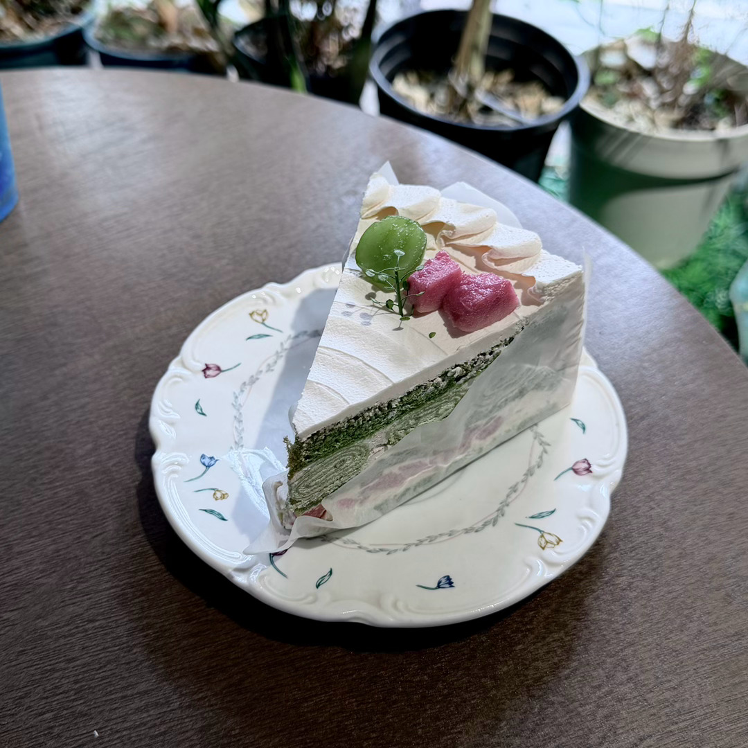 晚上好谁想来动动 