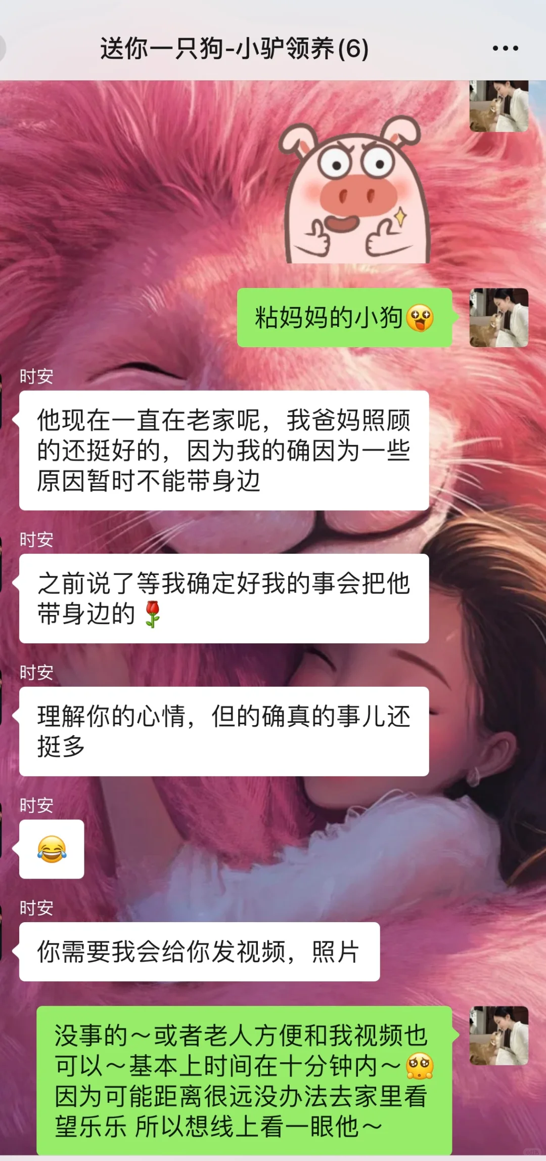 为什么不支持异地领养