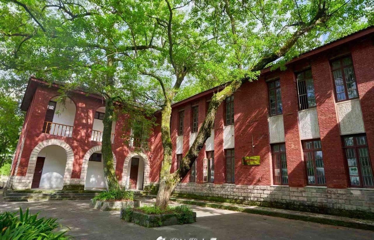 江南大学超话景德镇陶瓷大学115周年校庆
泥火作序，岁月为章，
百又十五载，薪传