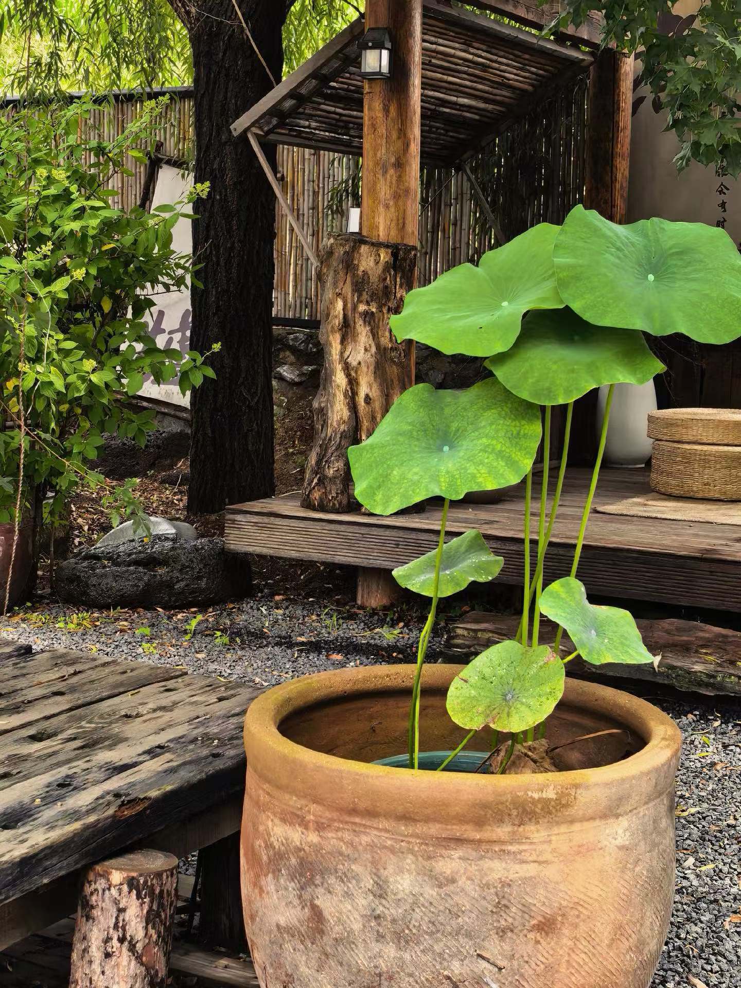 早安 𝗛𝗲𝗹𝗹𝗼 在跌跌撞撞的日子里我们依旧笑对风雨努力拼凑生活的每一
