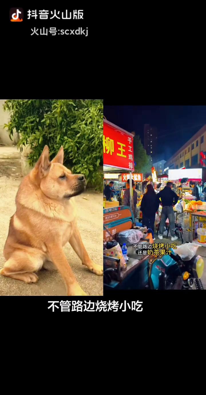 小摊不便宜。
几乎所有的路边摊，已经不值得我们去消费了，不管路边烧烤小吃，还是奶