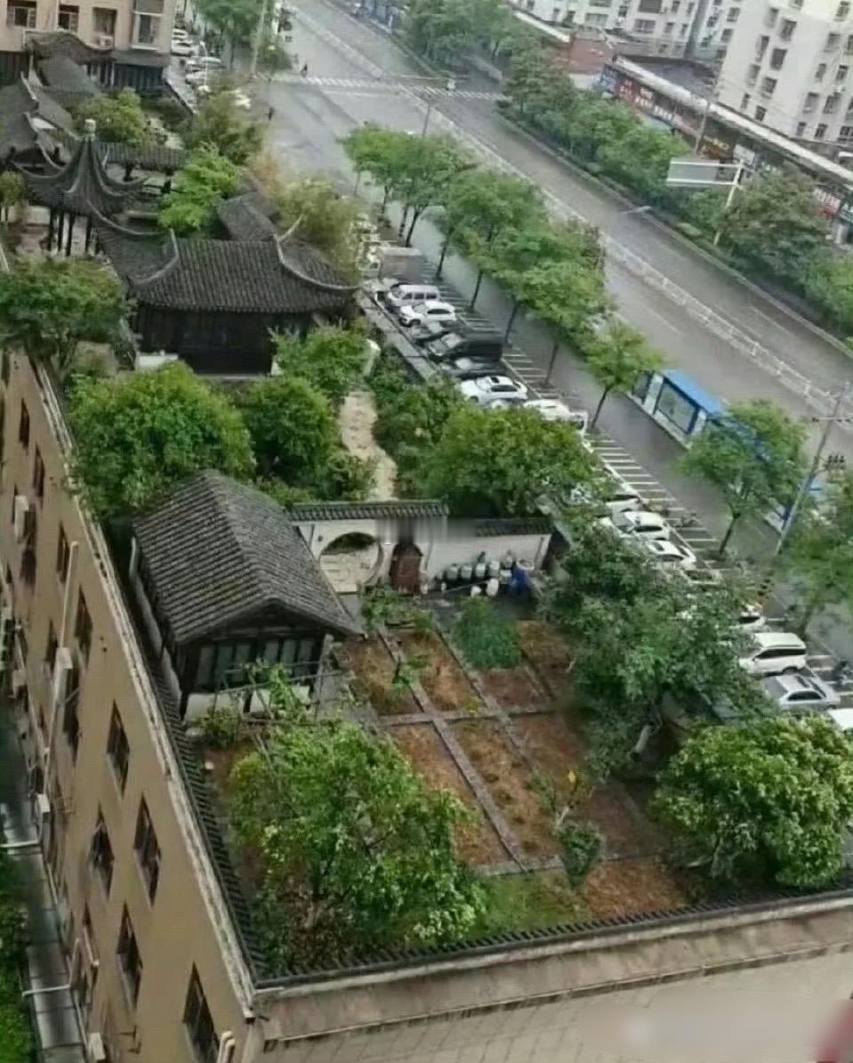 这样的环境给一千万都不卖啊 ​​​