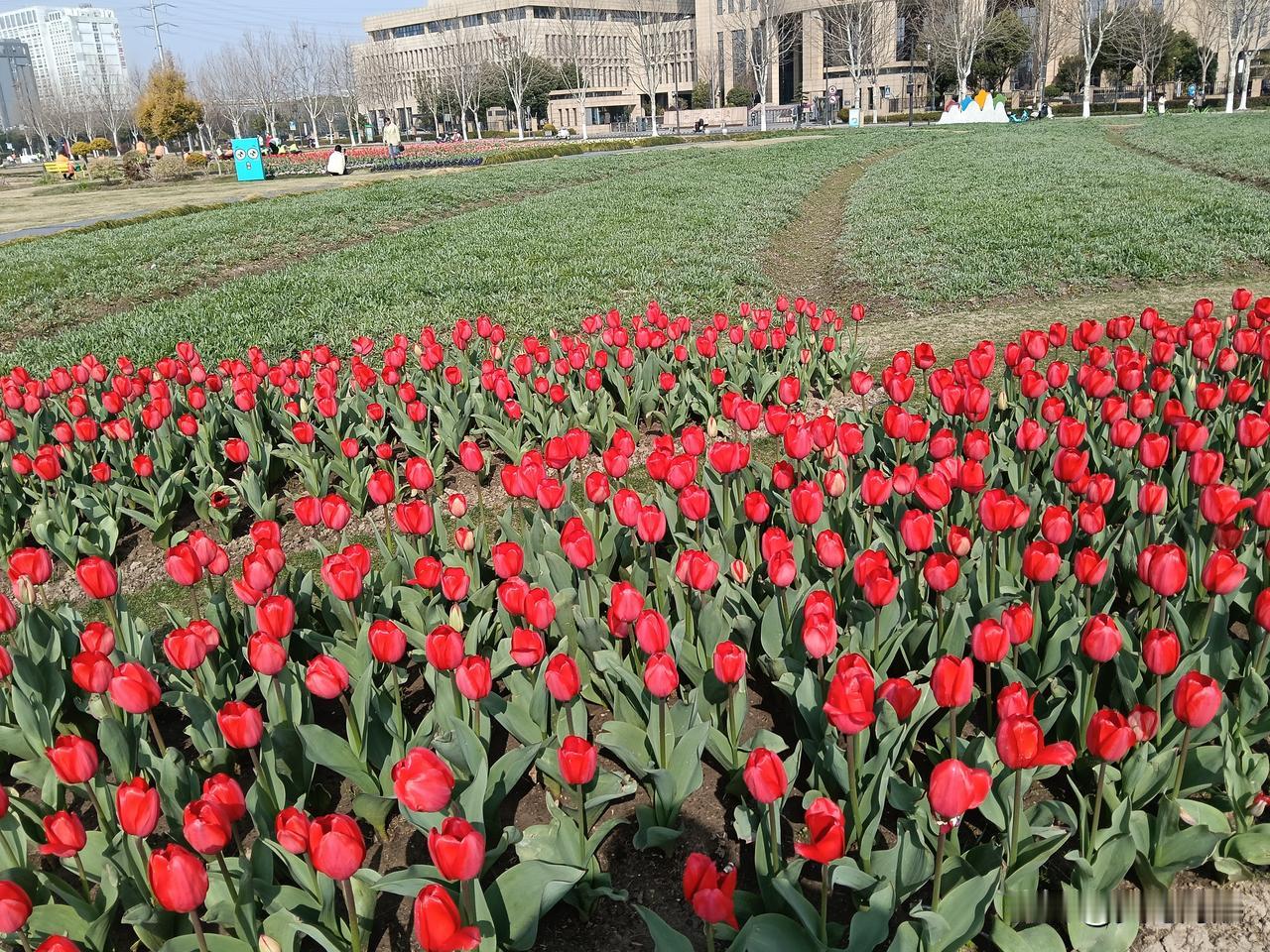 每天下班回到家，我都会笑着喊我婆婆一声：妈，我回来了。婆婆说饭没好，我就赶快去帮