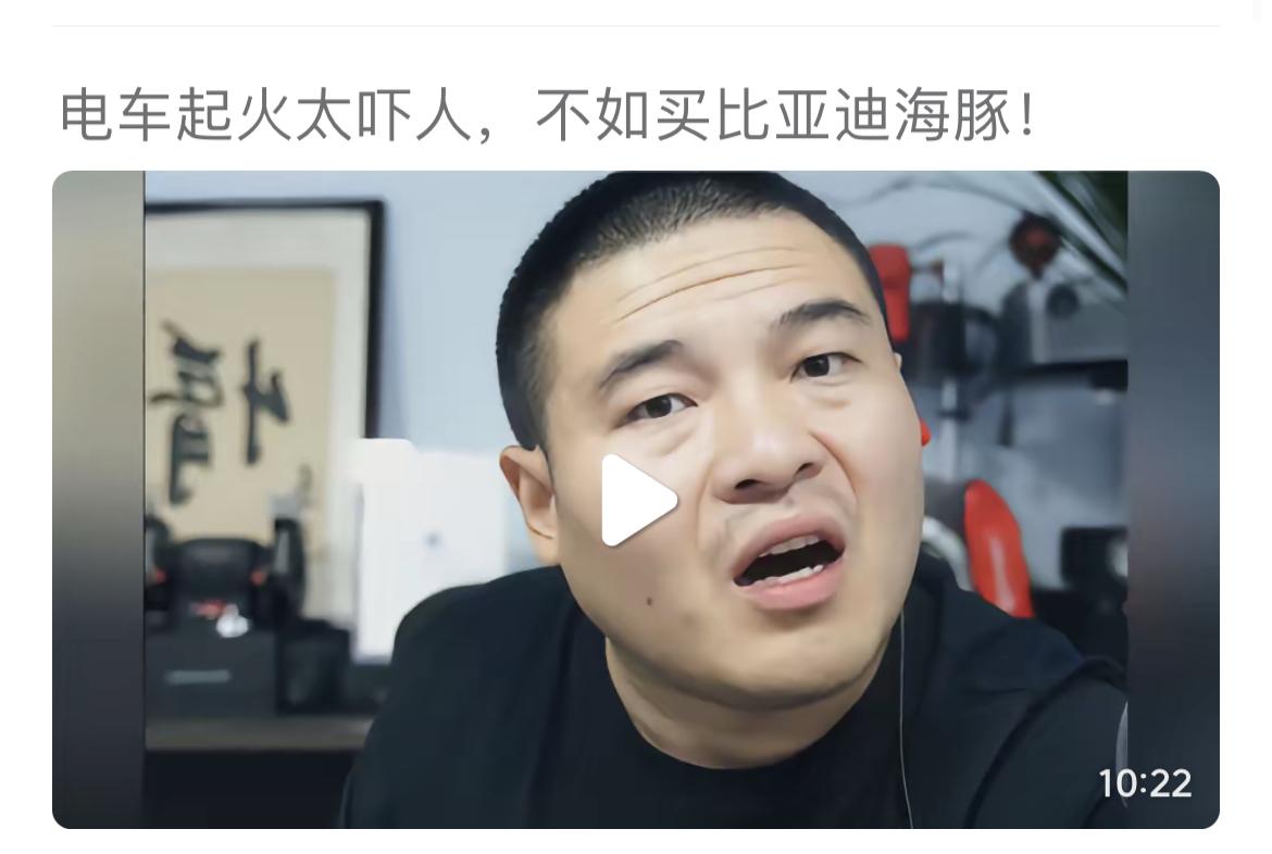 厂长多次推荐比亚迪海豚
一是保有量大，维修经济
二是上面的技术成熟，经过市场验证