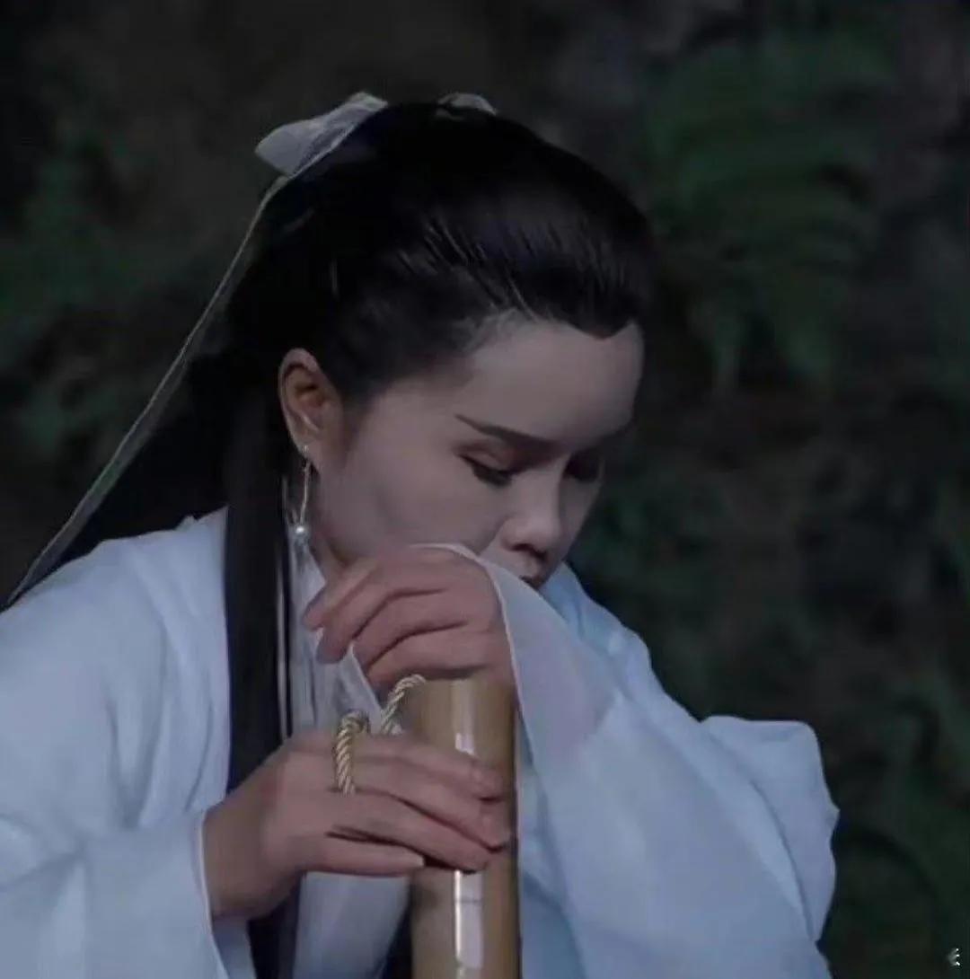 自从看了越 南版的小龙女，我对尹志平彻底释怀了。
95版《新神雕侠侣》首映至今过