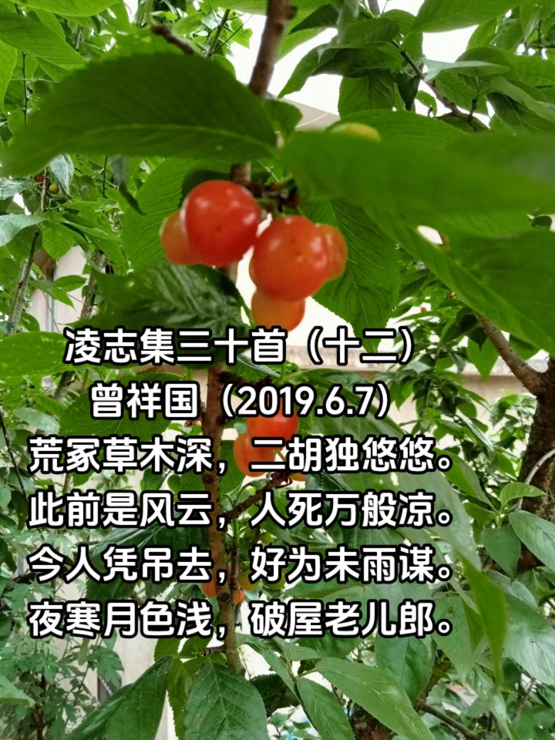 凌志集三十首（十二）