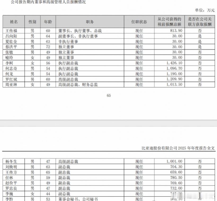 【比亚迪财务总监年薪1013万元，成为A股首位年薪破千万财务掌门人】日前，比亚迪