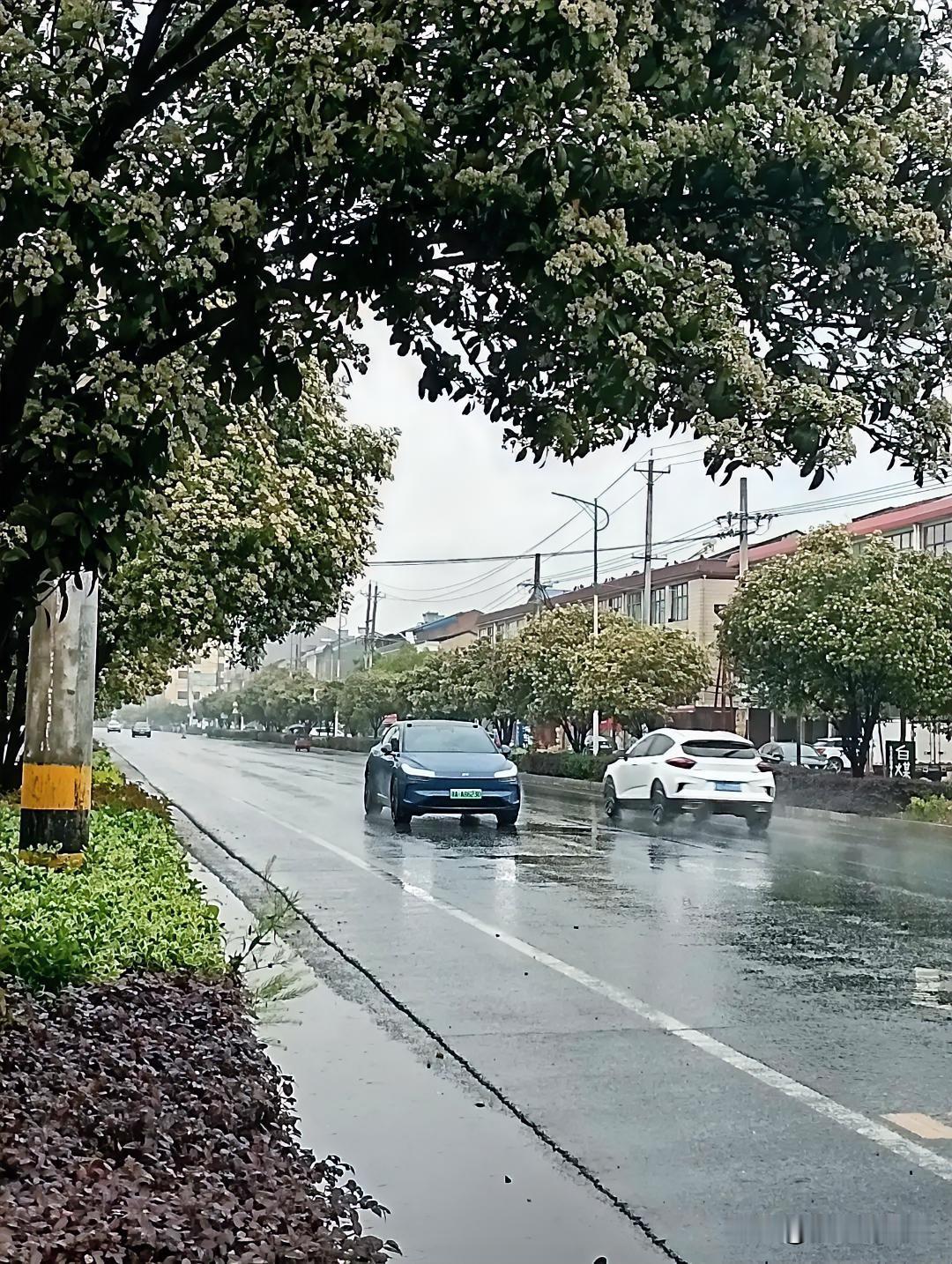 夏日的雨总是来得猝不及防。刚刚还是晴空万里，转眼间就大雨哗啦啦地下起来。
这雨一