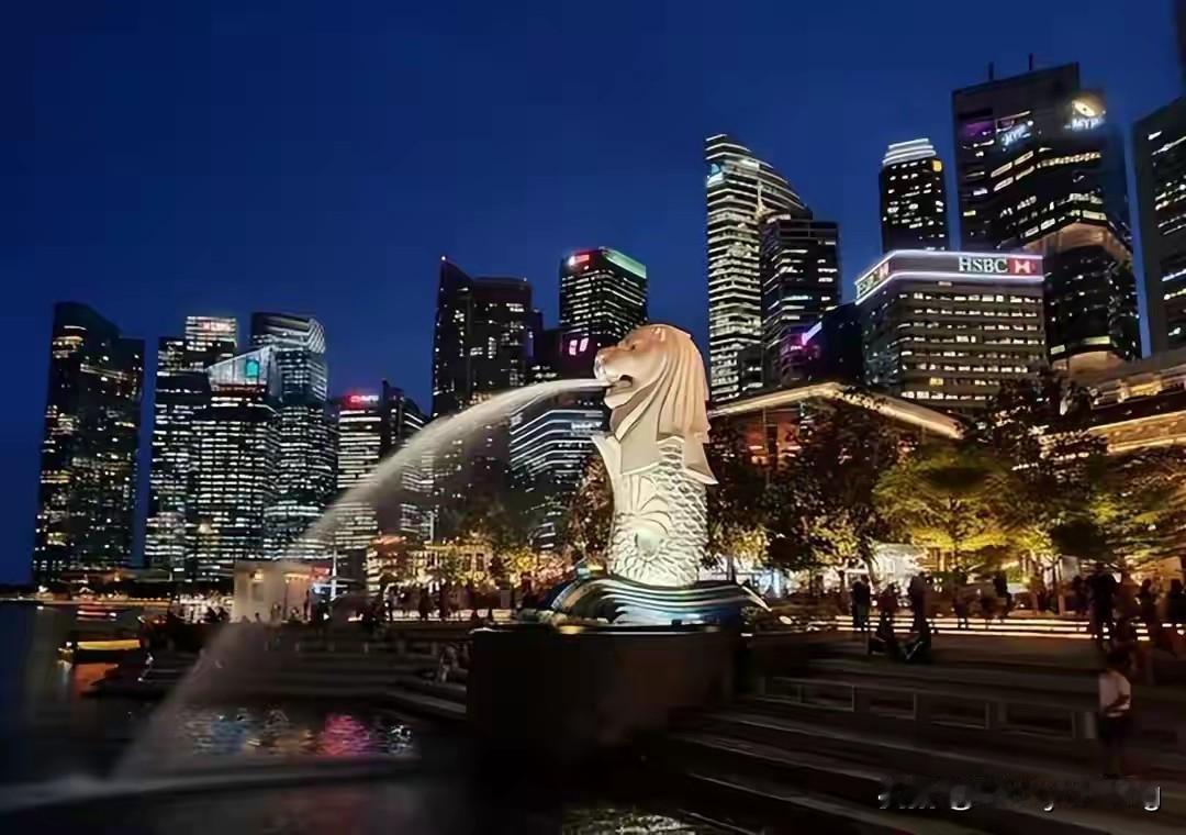 其实，他们并不是不明白中国发展的真实情况，只是出于偏见和利益，选择视而不见。坡媒