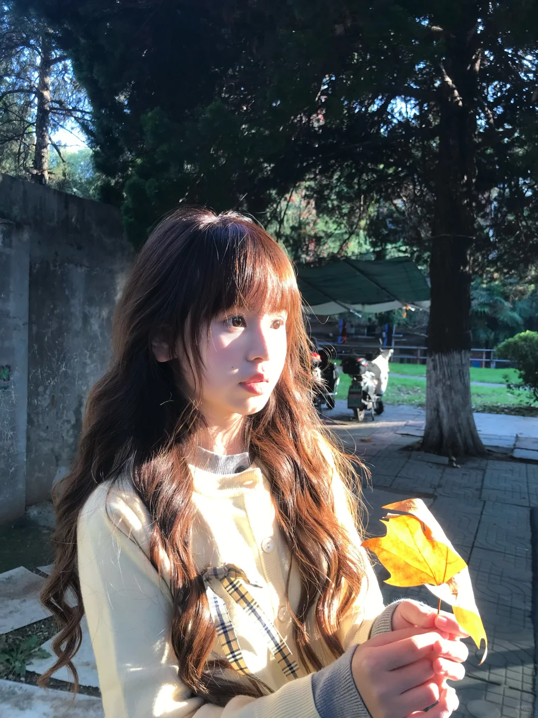 好天气 ´͈ ᵕ `͈ ☀️