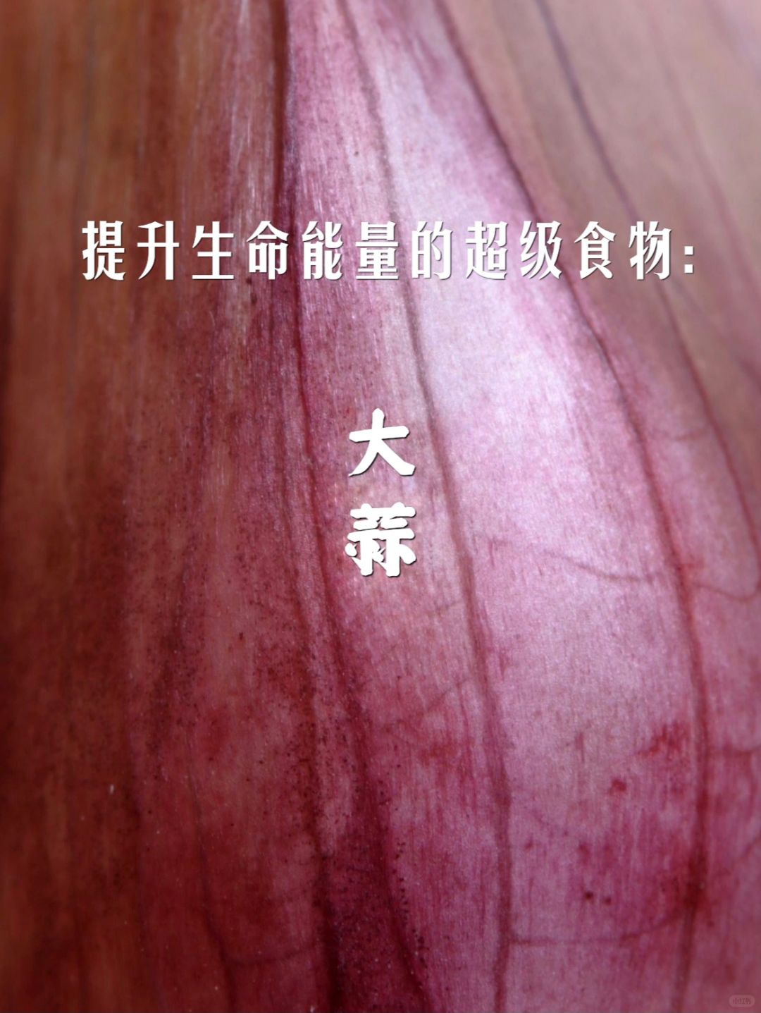 宇宙疗愈食物之：大蒜（病原体的噩梦）