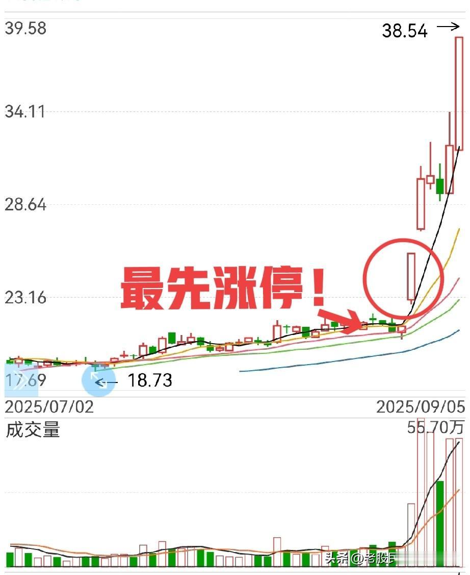 这一波电池的龙头是谁？
当然是杭可，龙二是先导，龙三国轩？怎么判断的呢？

很简