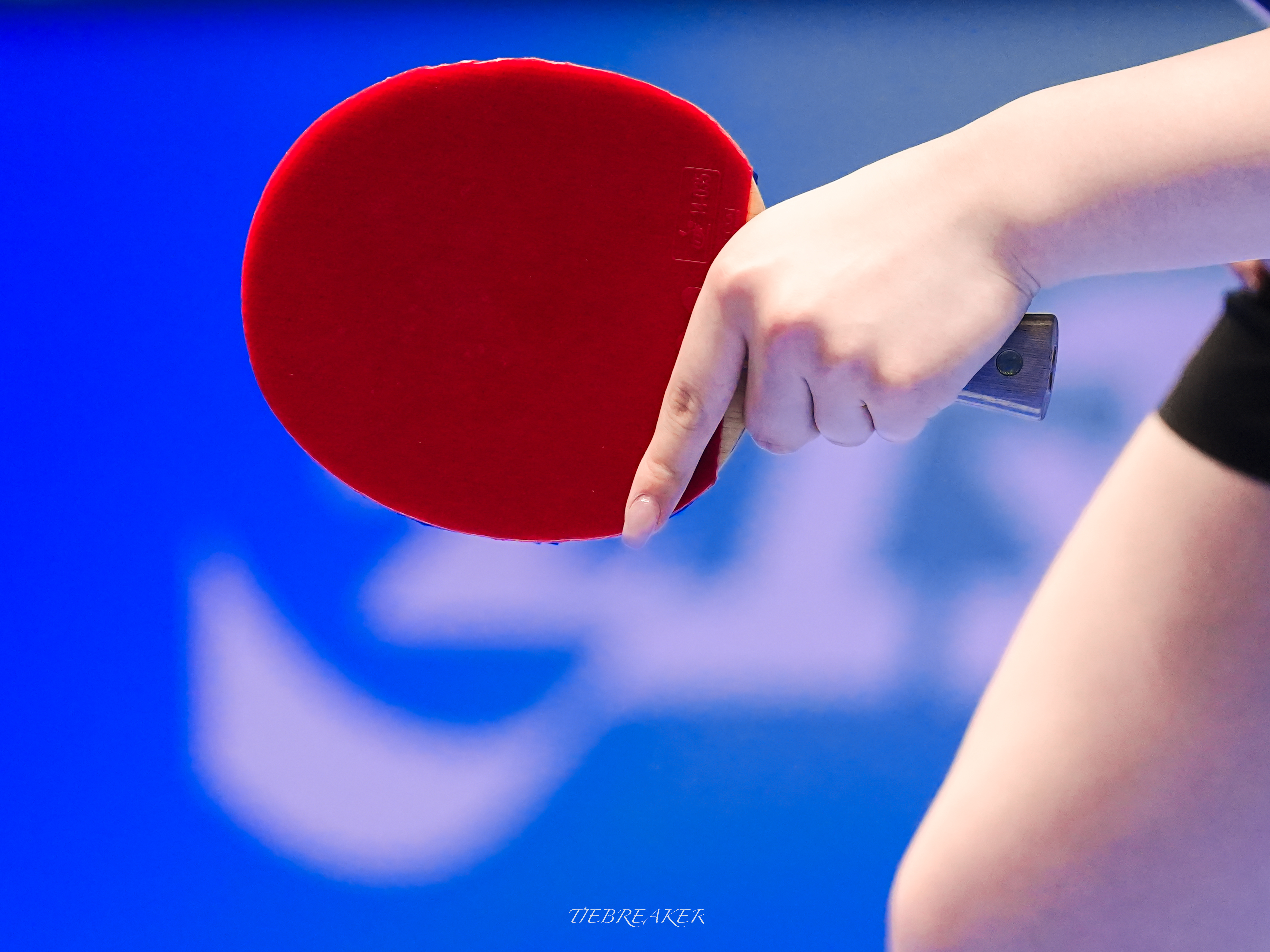 随机掉落. | 📌宁波.预选赛 ​​​