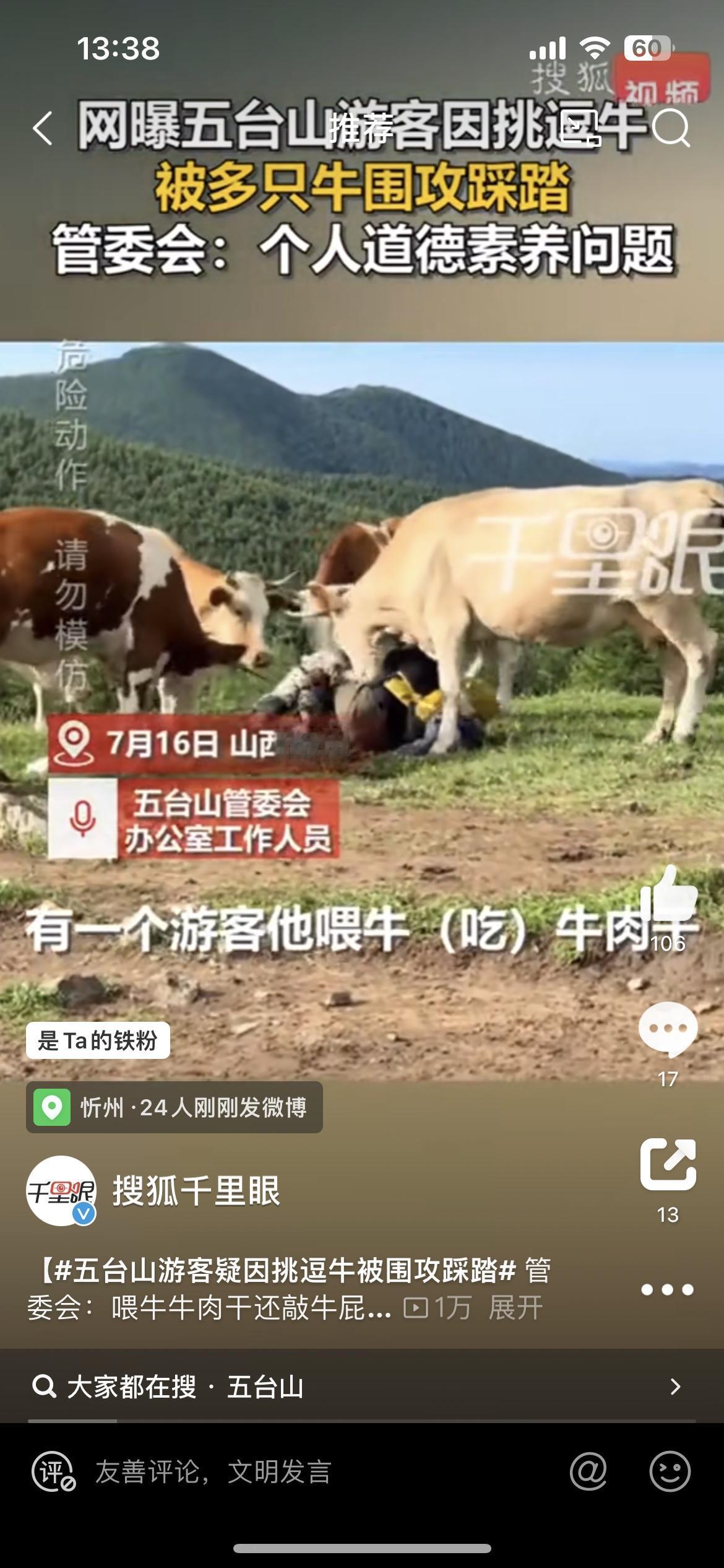 游客五台山挑逗牛，遭牛群殴。老实牛被欺负太狠，也会反击的。7月16日，一群游客在