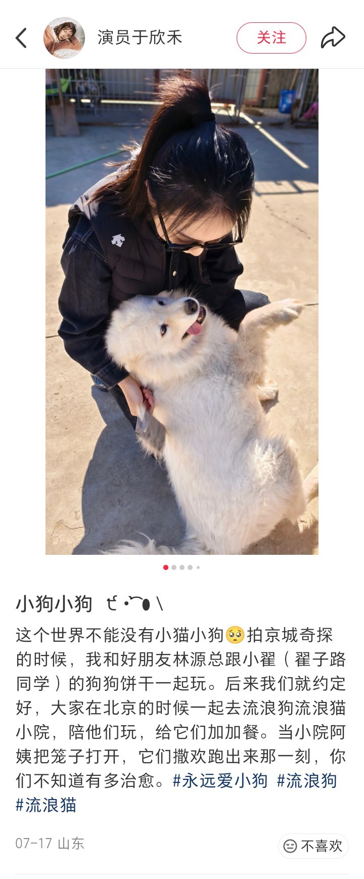 约定一起去流浪猫狗小院做志愿就真的很快去惹，肥路(已瘦版)真素天使。。。 