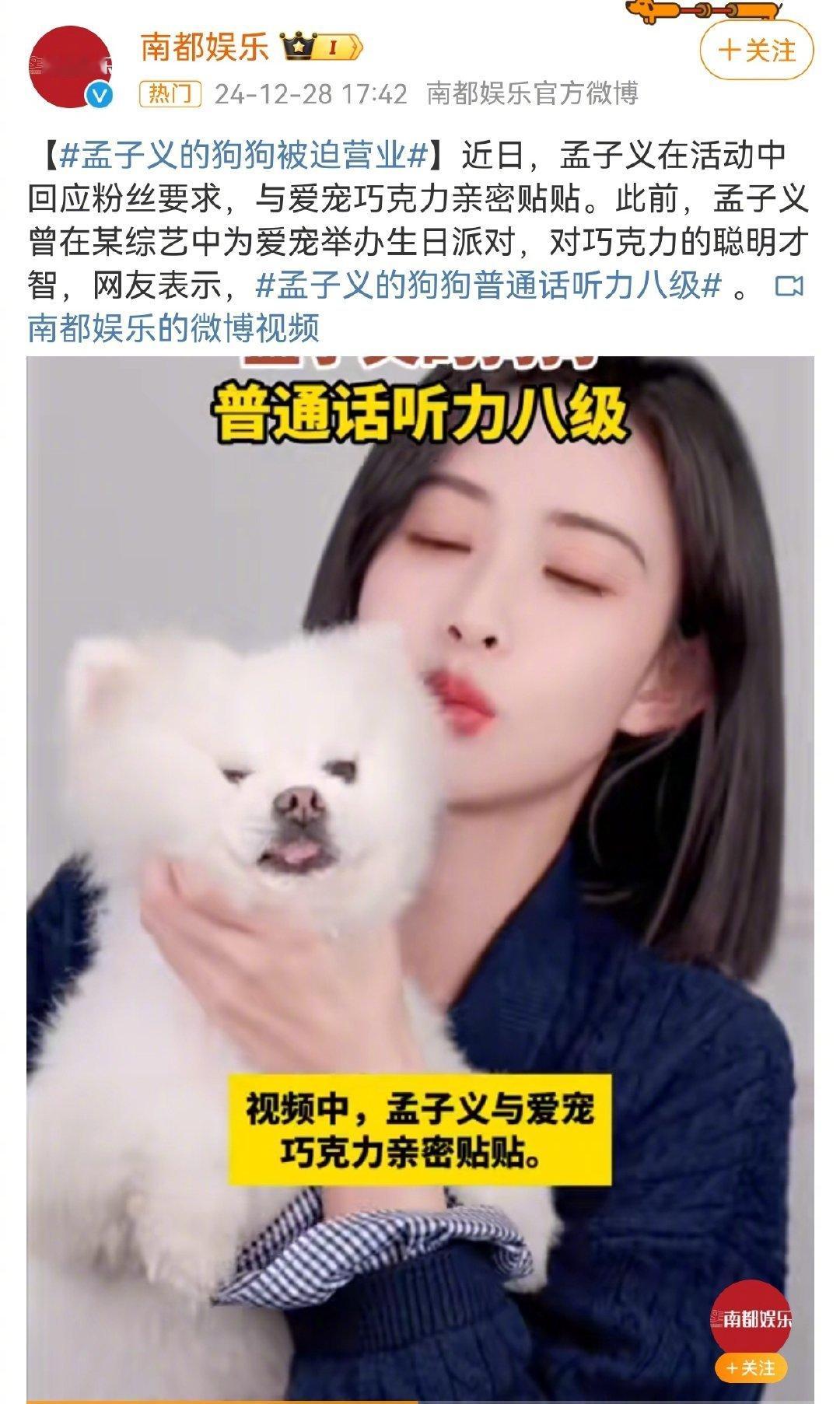 孟子义的狗狗被迫营业 孟子义和她家巧克力的互动真是萌翻众人，看到他们亲密贴贴的画
